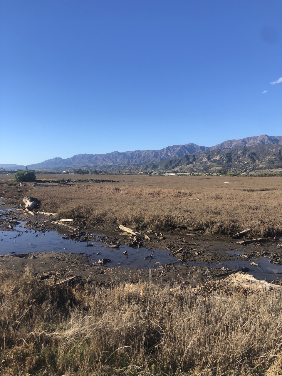 Field work